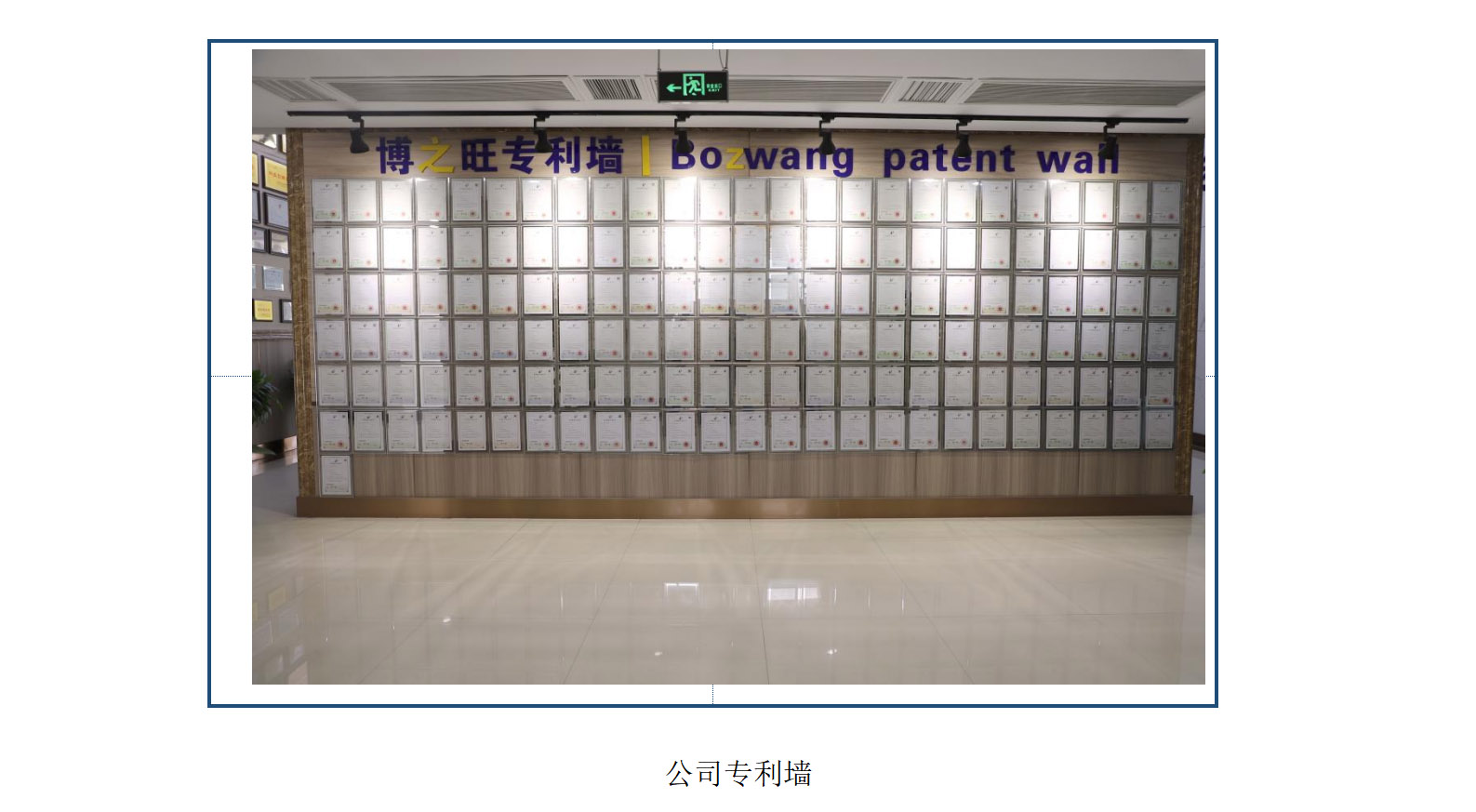 9181691544385815.jpg 4.jpg